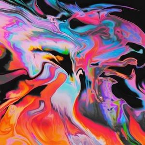 Meet your Posher, Molly